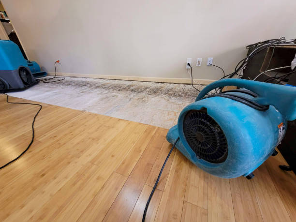 Professional Water Removal technician working in Madison, FL